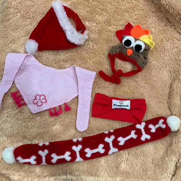 Other - Toy Dog accessories, 5 items, toy size dog.